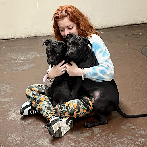 Pet Supply Store «Ace Pet Supply & K-9 Center Inc», reviews and photos, 206 Vanderpool St, Newark, NJ 07114, USA