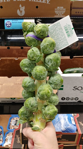 Supermarket «ALDI», reviews and photos, 772 Rostraver Rd, Belle Vernon, PA 15012, USA