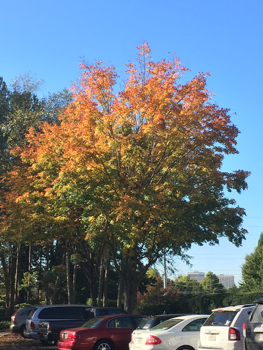 Construction Company «DPR Construction», reviews and photos, 3301 Windy Ridge Pkwy SE #500, Atlanta, GA 30339, USA