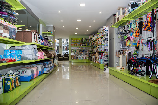 Pataners en Barcelona