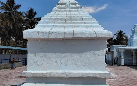 Shri Someshwara Swamy Temple (sasalu) image