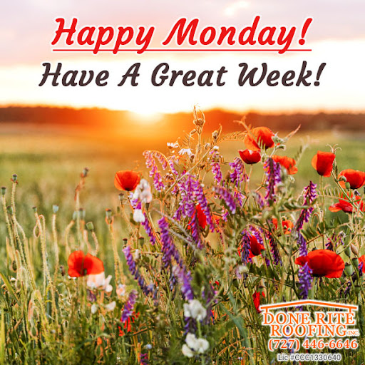 Roofing Contractor «Done Rite Roofing Inc», reviews and photos, 12438 Bristol Commons Cir, Westchase, FL 33626, USA