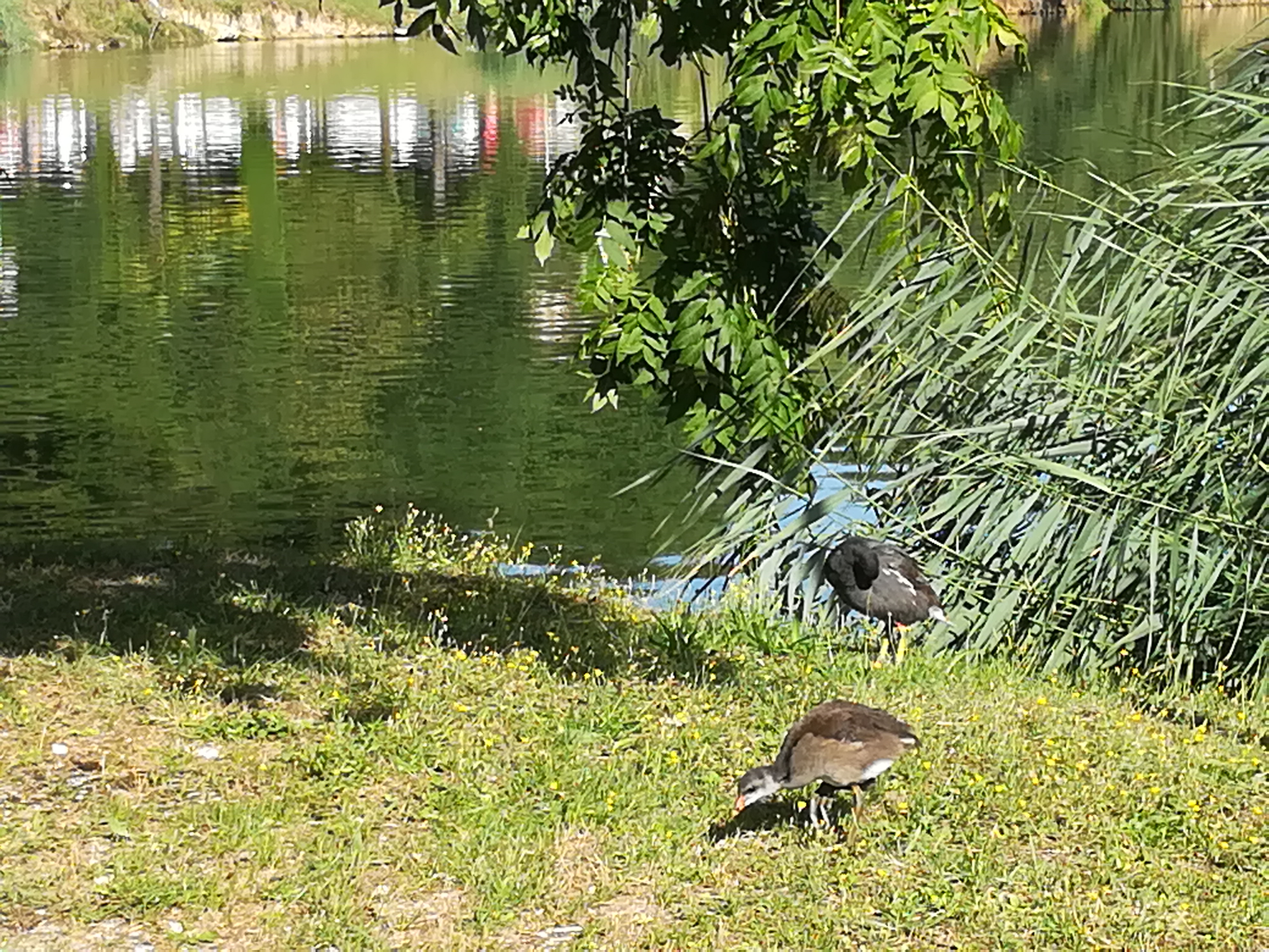 Photo n° 6 de l'avis de Cathy.A fait le 16/08/2019 à 13:46