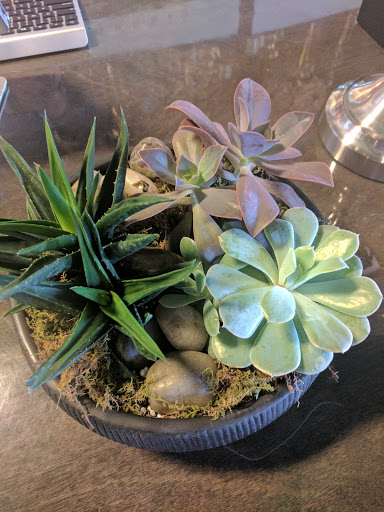 Florist «The Urban Orchid», reviews and photos, 1455 W 29th St, Cleveland, OH 44113, USA