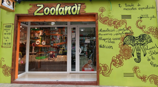 Zoolandi - Castellón de la Plana