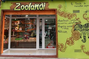 zoolandi image
