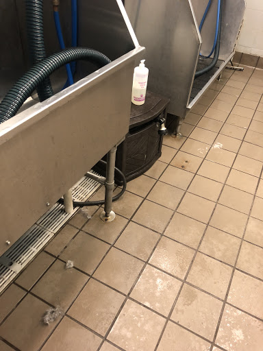 Pet Supply Store «Pet Supplies Plus», reviews and photos, 4808 Ridge Rd, Brooklyn, OH 44144, USA