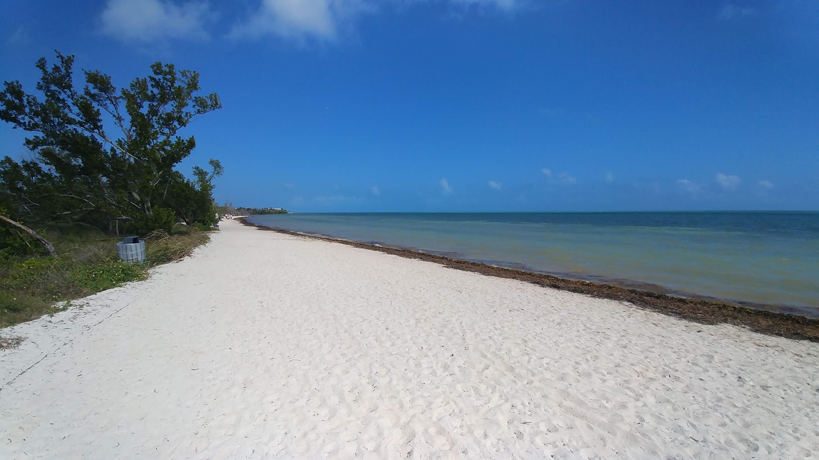 Fotografija Cocoa Plum beach z svetel pesek površino