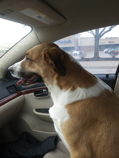 Shopping Mall «Surrey Square Mall & Center», reviews and photos, 4500 Montgomery Rd, Cincinnati, OH 45212, USA