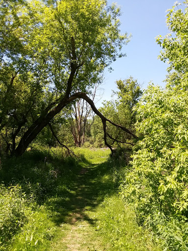 Housatonic Flats Reserve