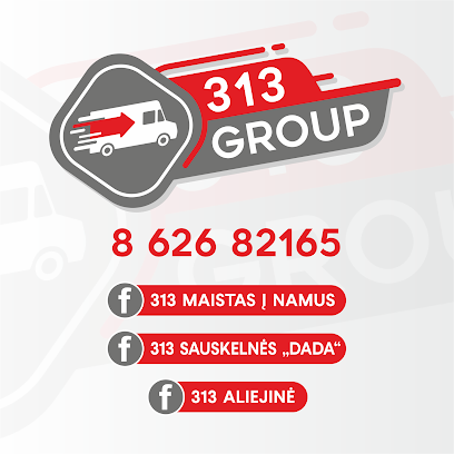 313 Grupė