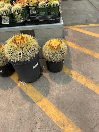 Home Improvement Store «The Home Depot», reviews and photos, 2580 Notre Dame Blvd, Chico, CA 95928, USA