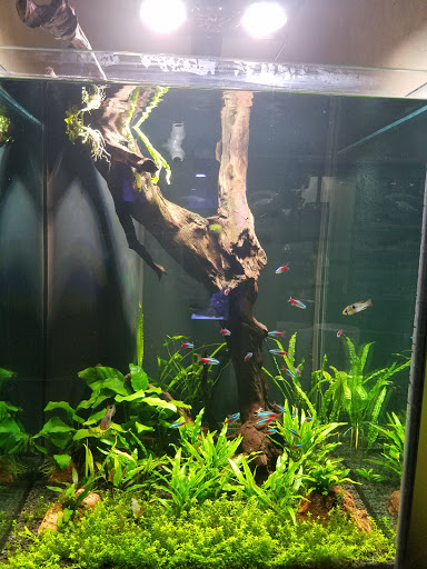 Aquarium «Aquatica», reviews and photos, 800 Clanton Rd H, Charlotte, NC 28117, USA