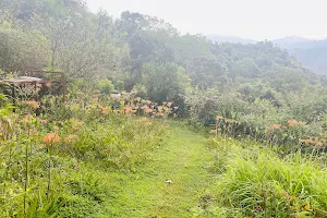Swarnasiri Nature Park image