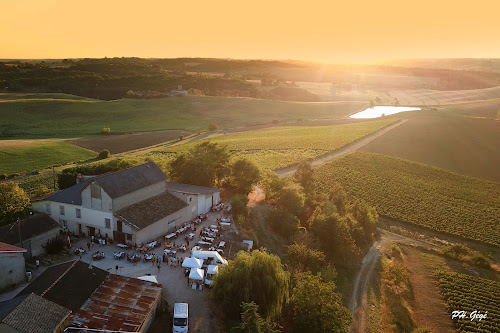 Vin de Gaillac - Domaine de Long-Pech à Lisle-sur-Tarn