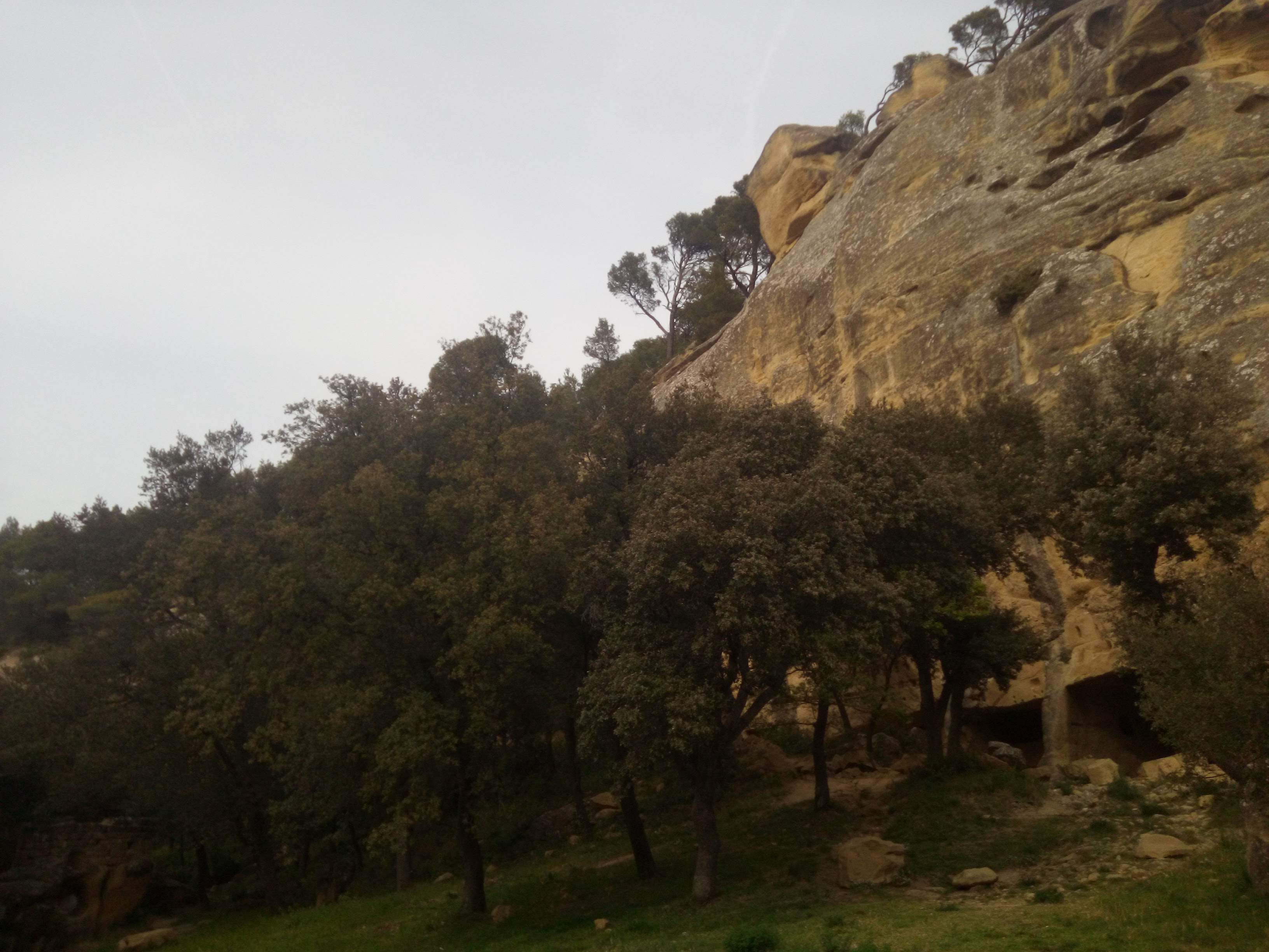 Photo n° 15 de l'avis de OodSSigma. fait le 18/04/2019 à 16:10