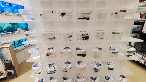 Pet Supply Store «Petco Animal Supplies», reviews and photos, 2565 NE 10th Ct, Homestead, FL 33035, USA