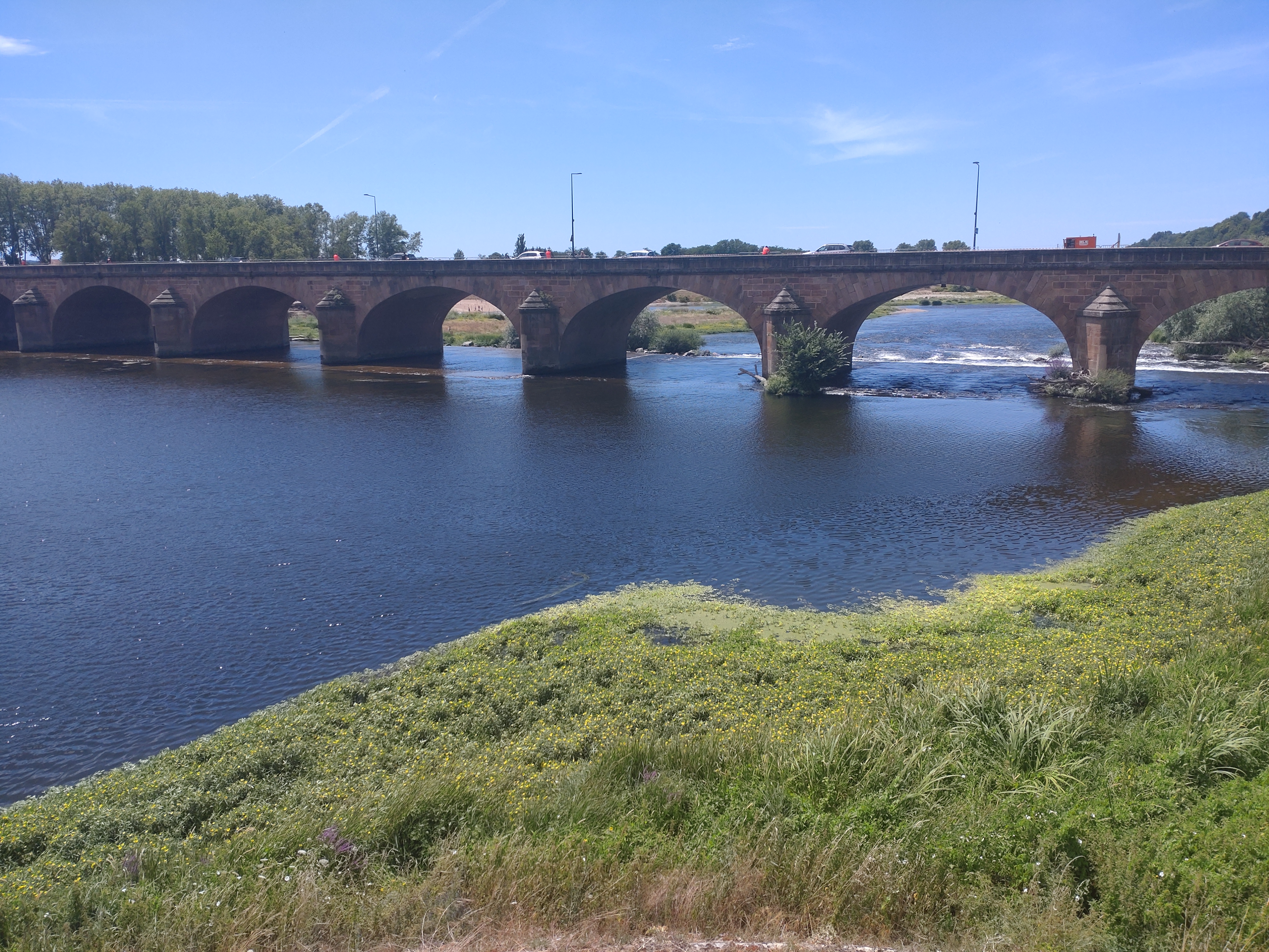 Photo n° 12 de l'avis de nounours.e fait le 14/07/2023 à 16:04