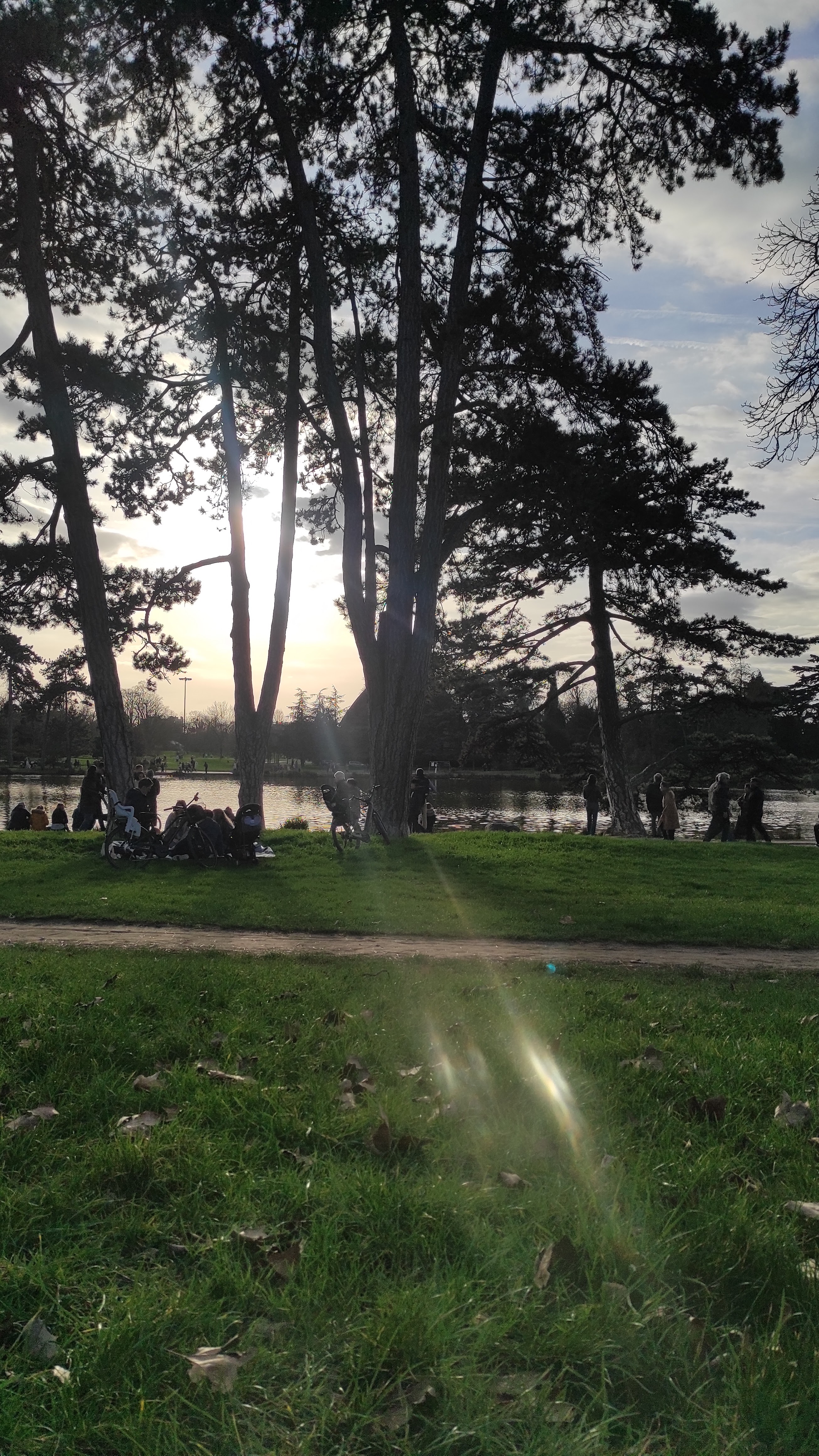 Photo n° 1 de l'avis de Dalia.. fait le 21/02/2024 à 08:08