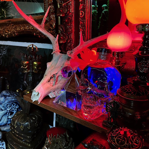 Tattoo Shop «Gnostic Tattoo», reviews and photos, 1089 Flushing Ave, Brooklyn, NY 11237, USA