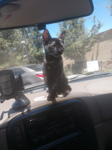 Restaurant «Chick-fil-A Thunderbird», reviews and photos, 5908 W Thunderbird Rd, Glendale, AZ 85306, USA