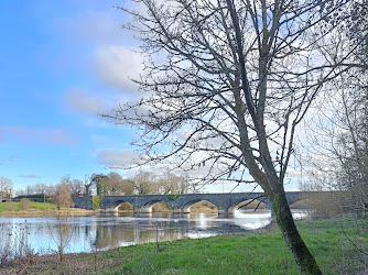 Corbally Birdwatch