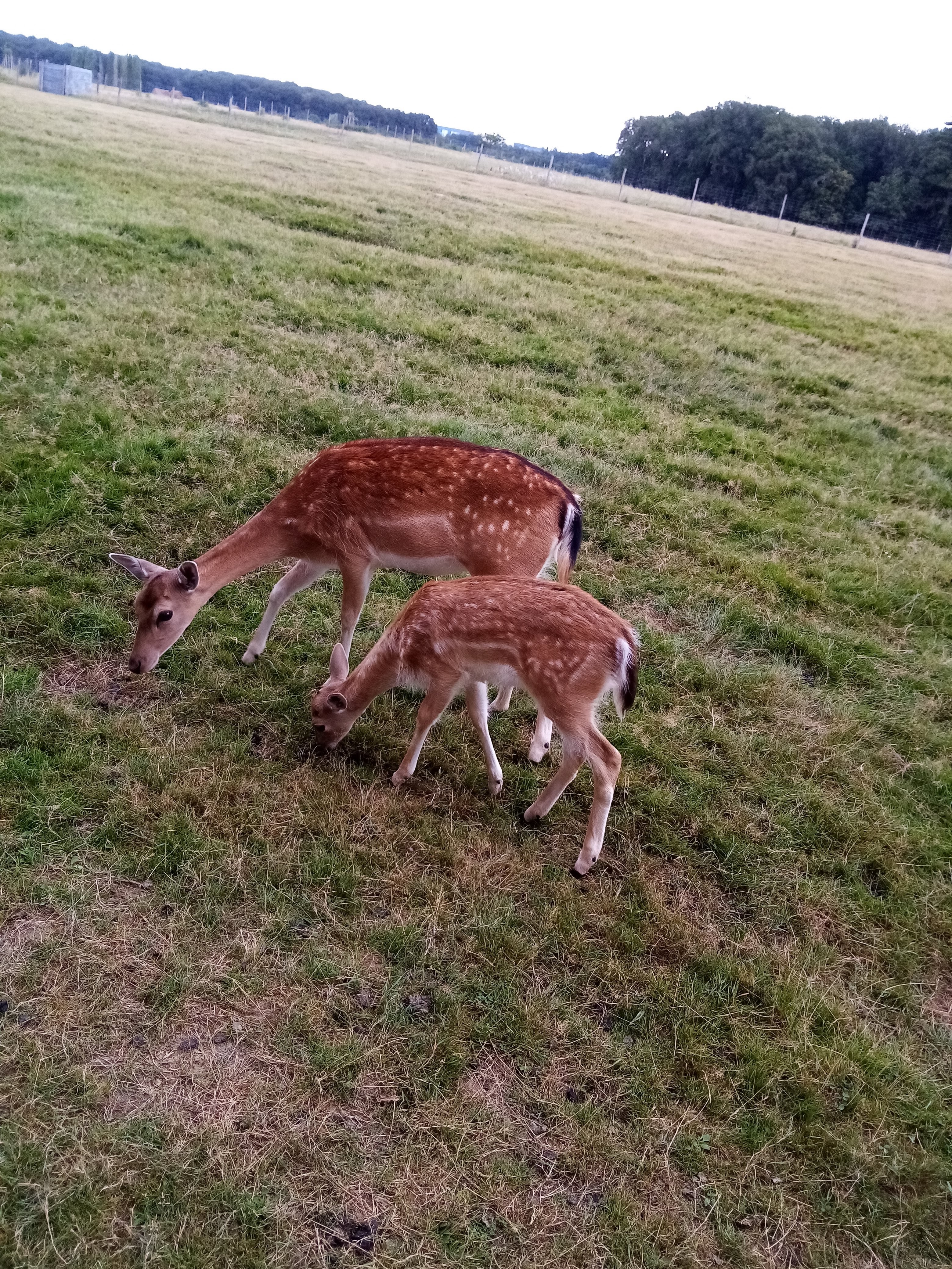 Photo n° 8 de l'avis de Aurelie.u fait le 17/08/2021 à 19:49