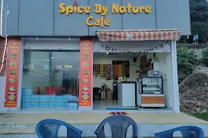 Spice By Nature image