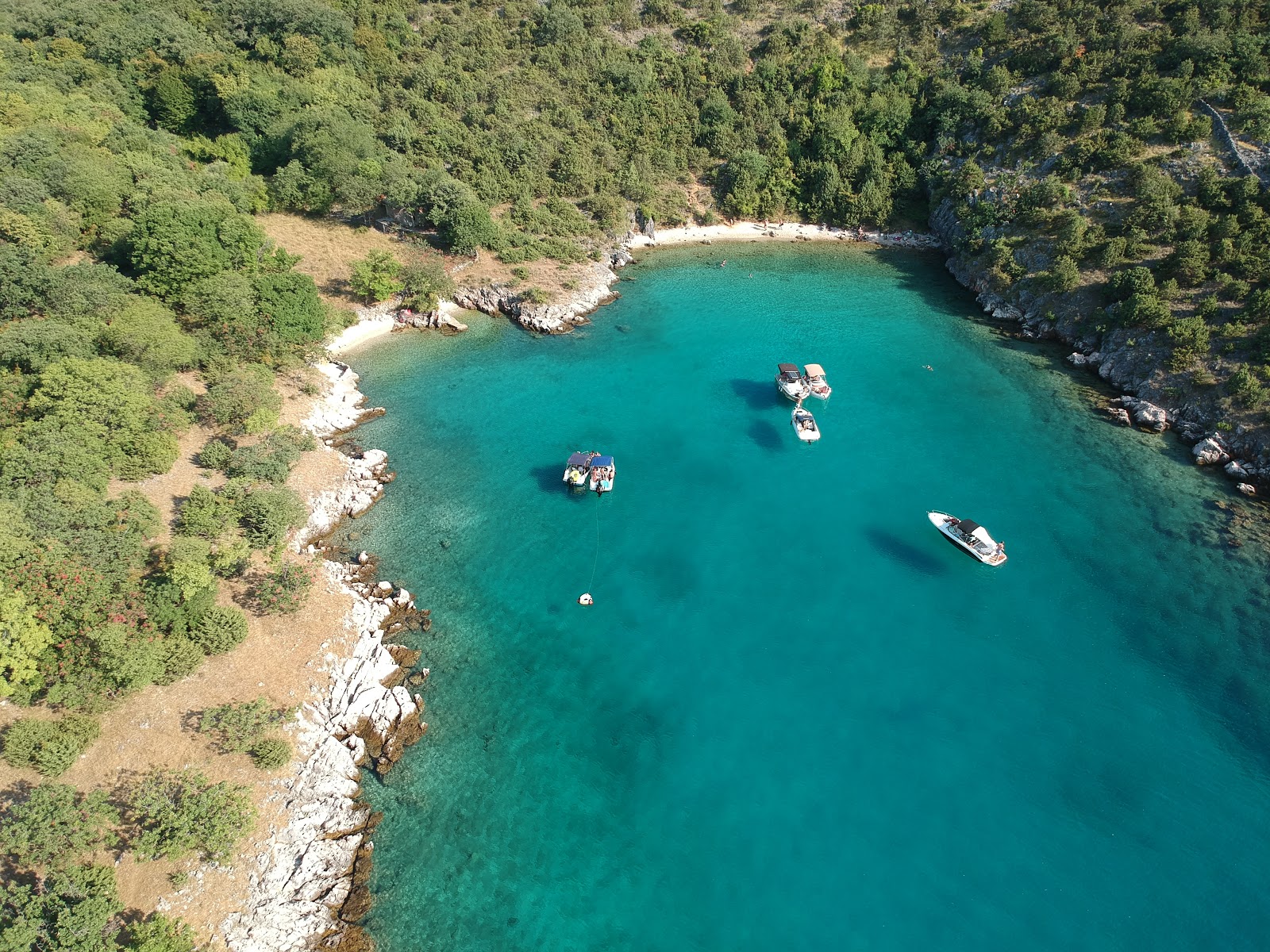 Zdjęcie Moby's beach dziki obszar