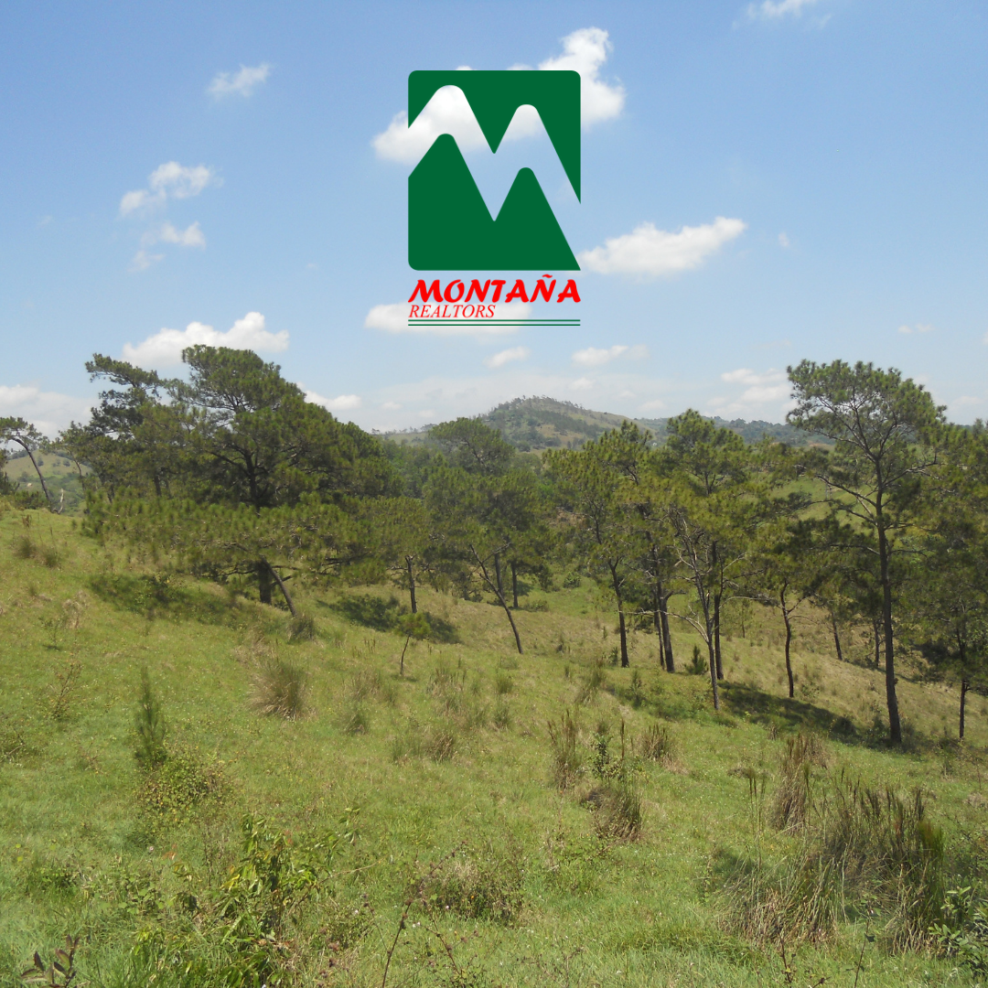 Montaña Realtors