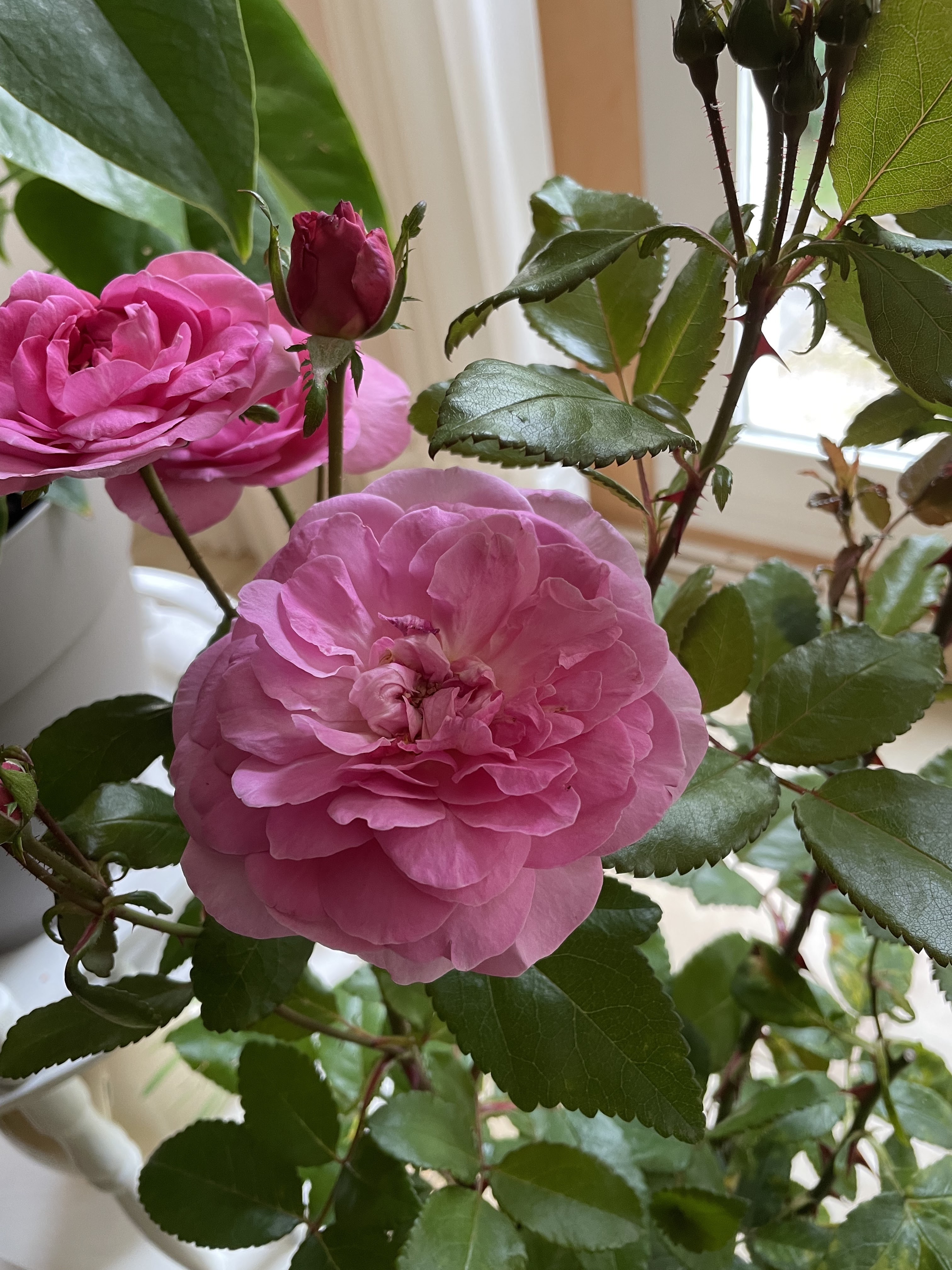 Photo n° 1 de l'avis de Dominique.o fait le 12/06/2022 à 15:55