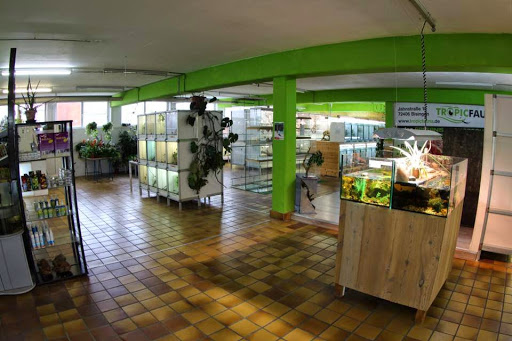 Tropic Fauna unter Bisingen, 