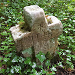 Photo n° 1 de l'avis de M..U fait le 25/09/2022 à 20:06 pour Entre Biesles et Sarcey à Sarcey