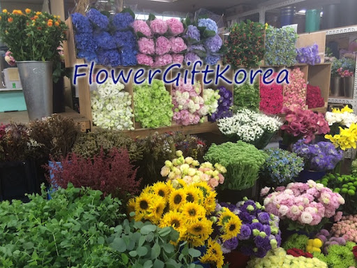 Flower Gift Korea