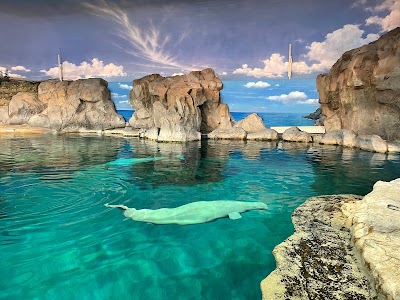 オーロラの海