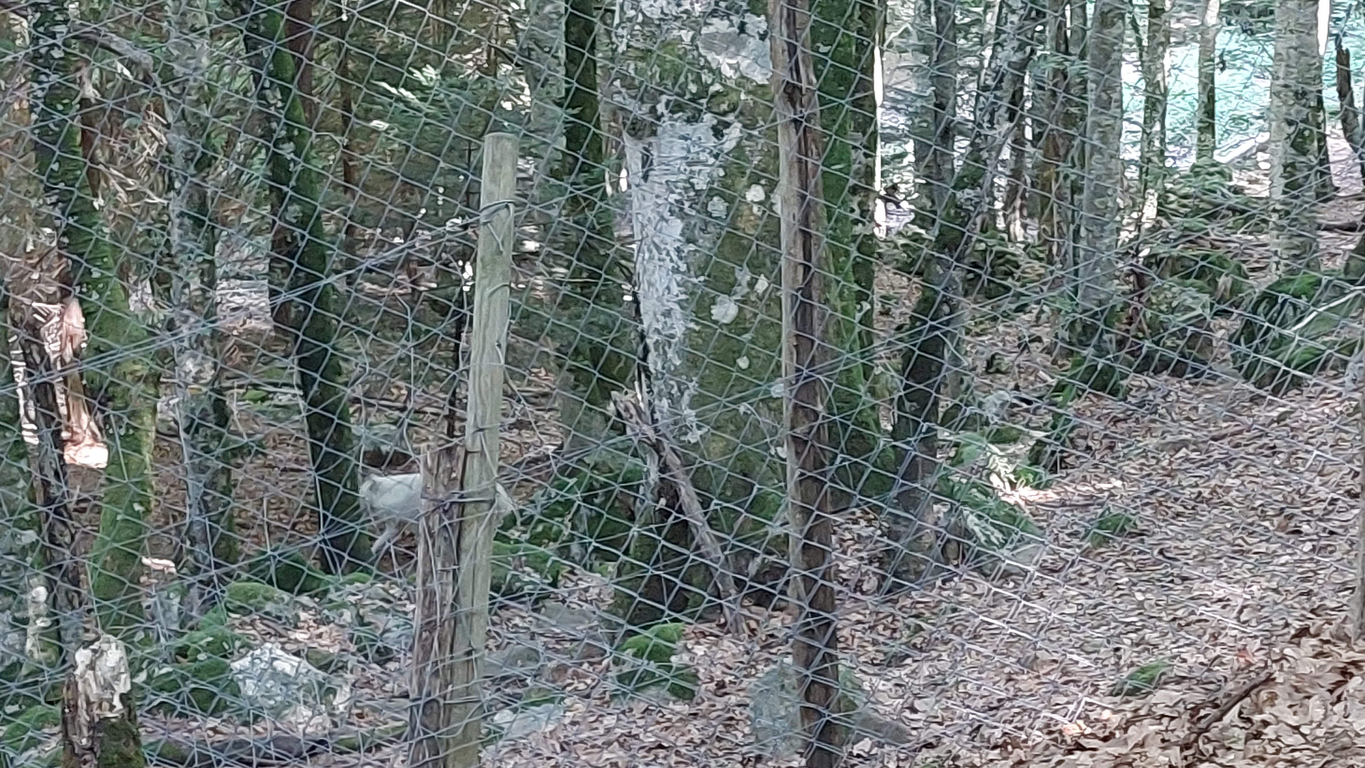 Photo n° 4 de l'avis de Stéphane.e fait le 14/08/2022 à 16:18