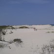 Island Beach State Park