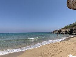 Erenkoy beach'in fotoğrafı çok temiz temizlik seviyesi ile