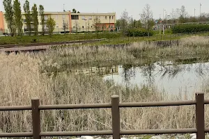 Parco Sansovino image
