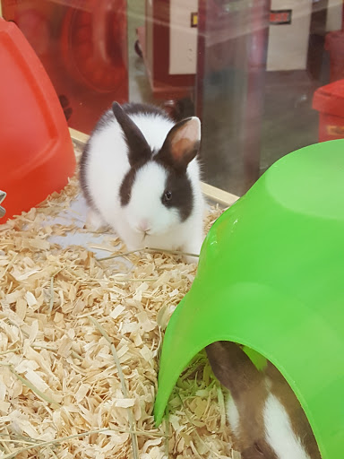 Pet Supply Store «Pet Supermarket», reviews and photos, 800 Sebring Square.., Sebring, FL 33870, USA