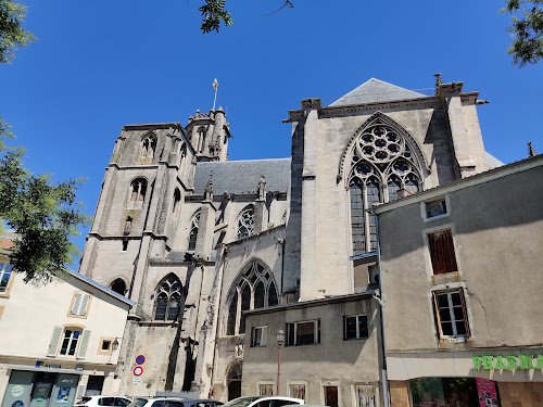 Collégiale Saint-Gengoult à Toul