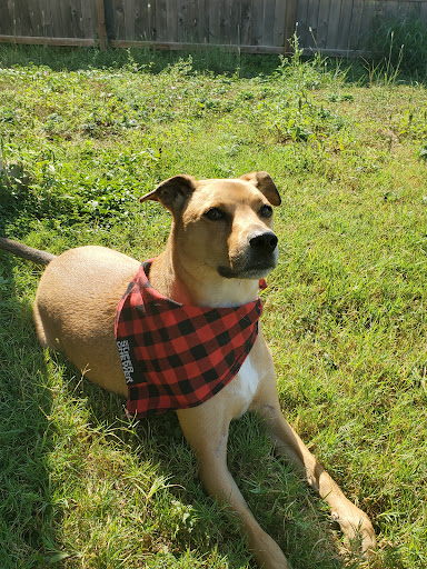 21518 Blanco Rd, San Antonio, TX 78260, USA