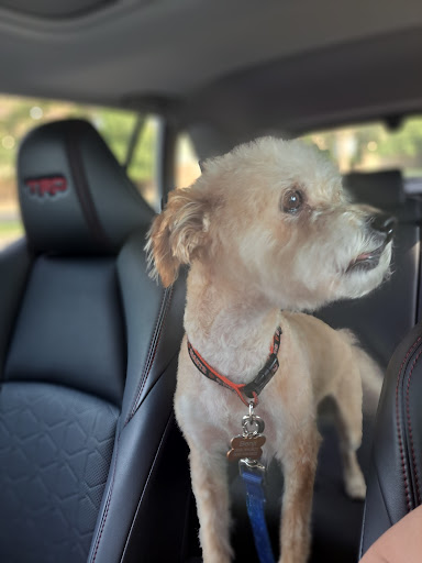 Pet Supply Store «PetSmart», reviews and photos, 3220 W Shaw Ave, Fresno, CA 93711, USA