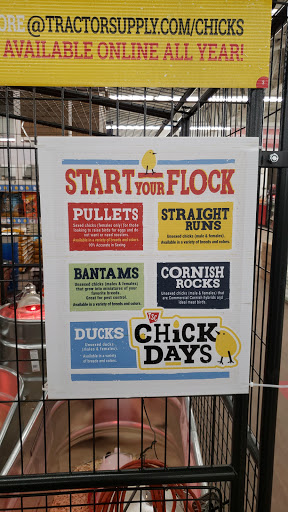 Home Improvement Store «Tractor Supply Co.», reviews and photos, 6015 S Transit Rd, Lockport, NY 14094, USA