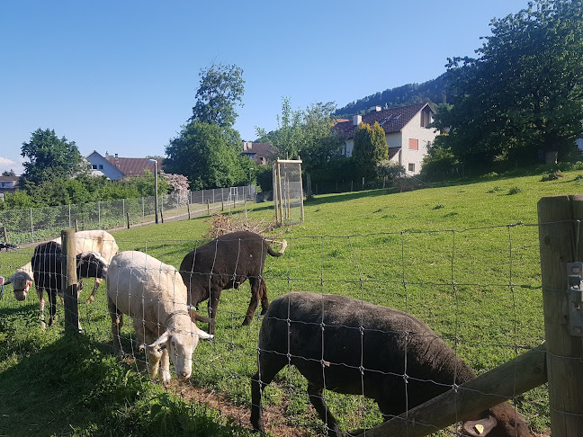 tierische Naturwerkstatt - Zürich