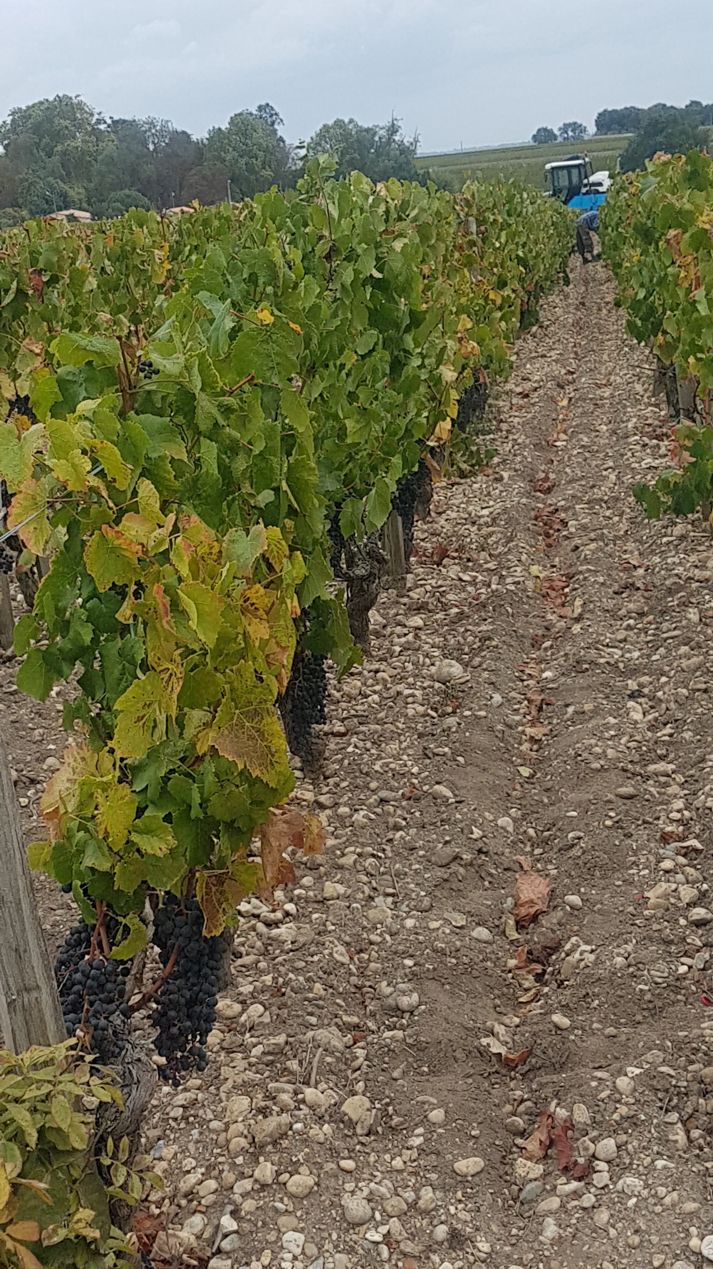 Photo n° 4 de l'avis de CRISTIANE.A fait le 06/10/2018 à 16:25