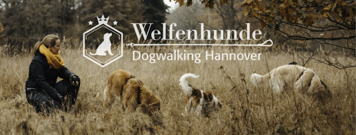 Welfenhunde - Dogwalking Hannover