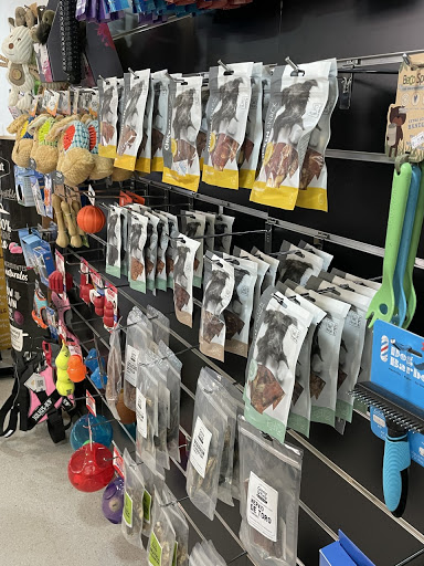 Ginabulldog en Sant Just Desvern, Barcelona