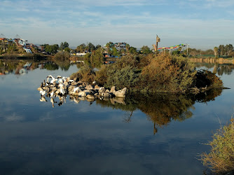 Raging Waters San Jose