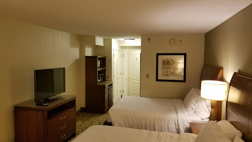 Hotel «Hilton Garden Inn Atlanta North/Alpharetta», reviews and photos, 4025 Windward Plaza, Alpharetta, GA 30005, USA